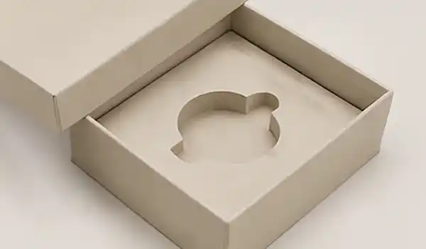 Paper Insert